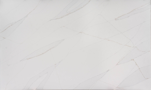 S1080 - Image 2
