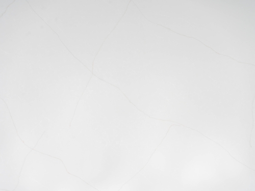 S1100 - Image 2